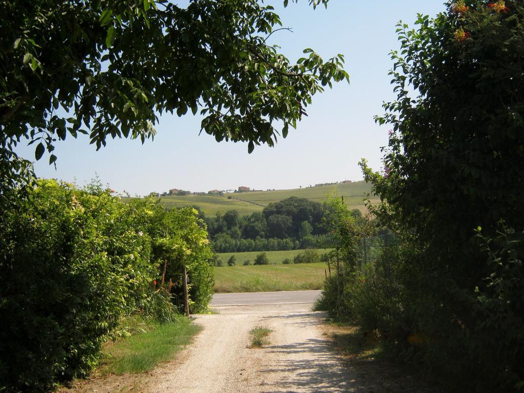 Villa Agriturismo Le Vigne Fermo Exterior foto