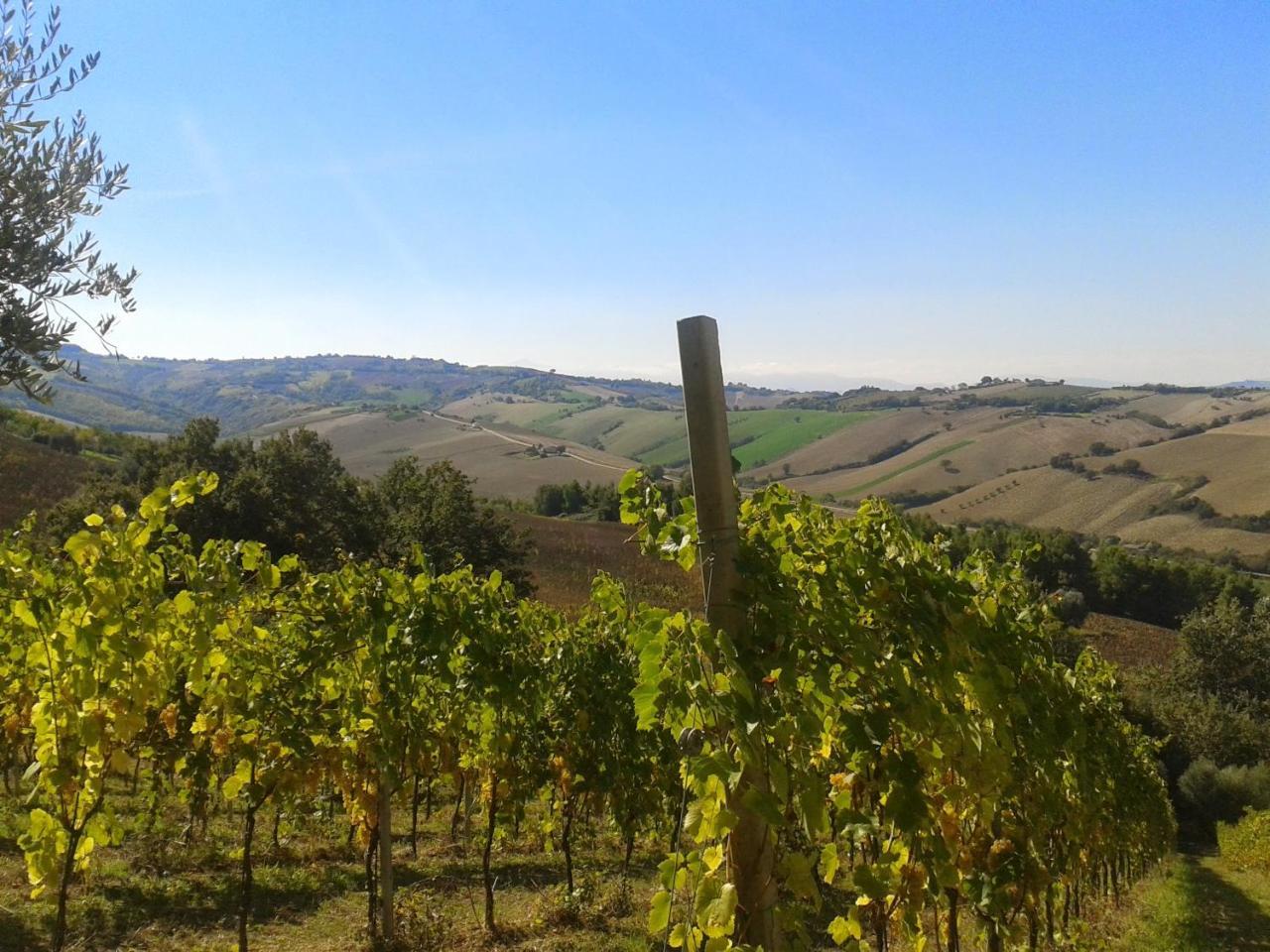 Villa Agriturismo Le Vigne Fermo Exterior foto