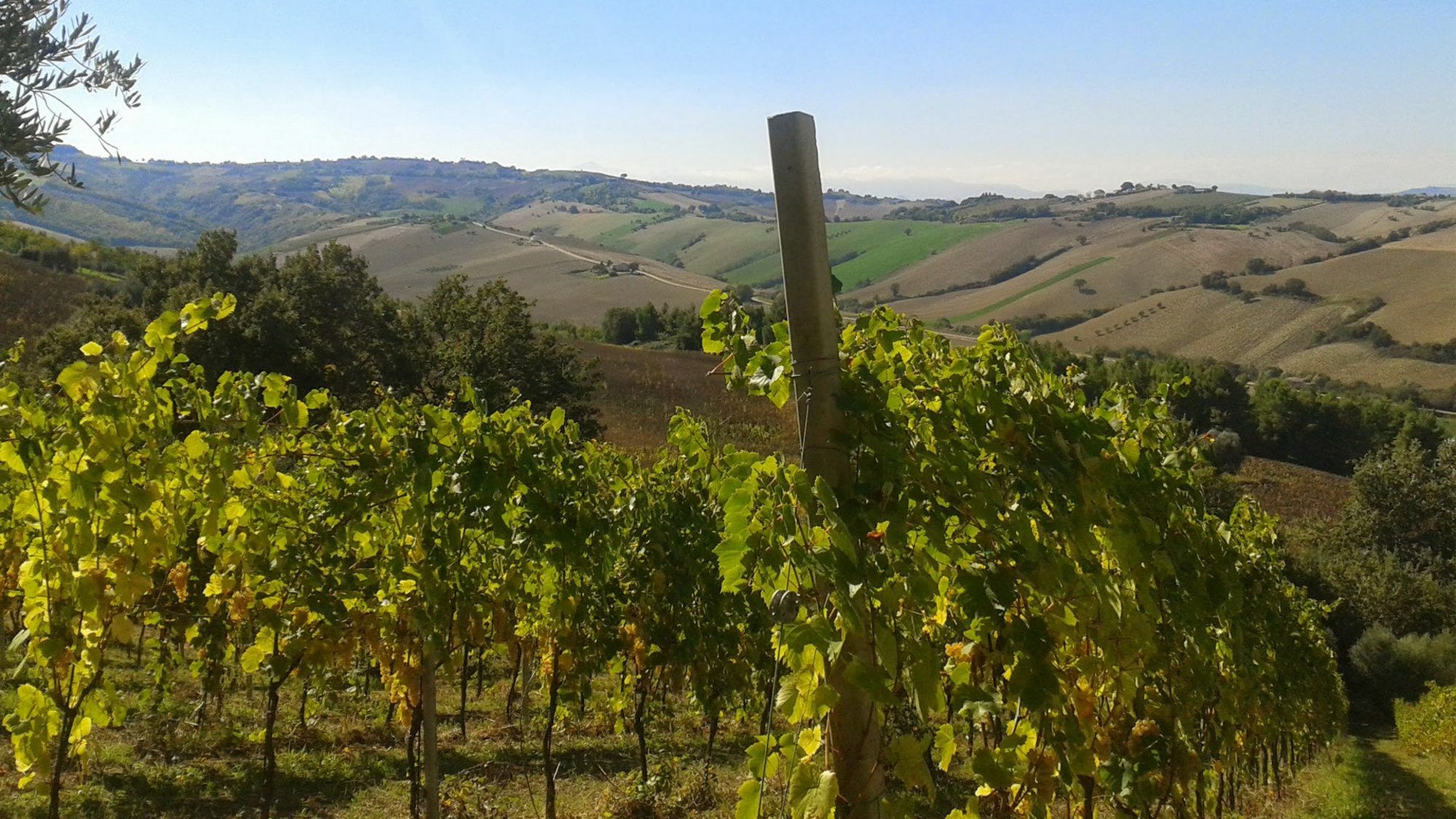 Agriturismo Le Vigne Fermo Exterior foto